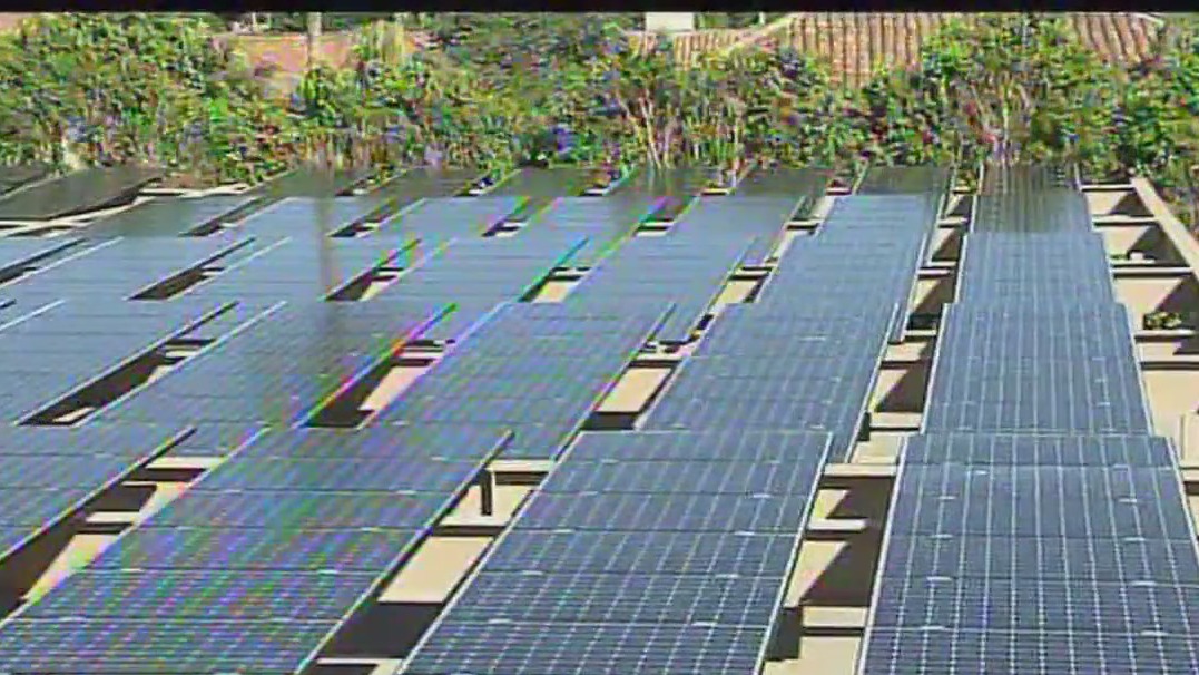 New fund will help small businesses in Chicago implement climate-focused initiatives