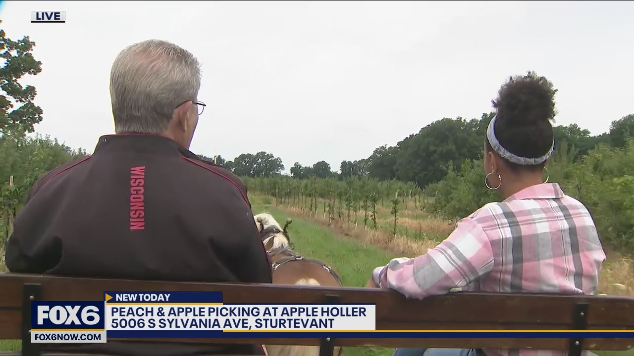 Peach season at Apple Holler