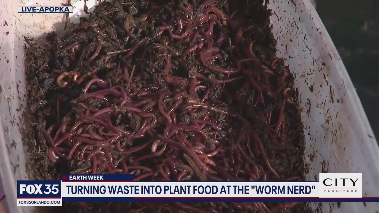 Turning waste into plant food at the 'Worm Nerd'