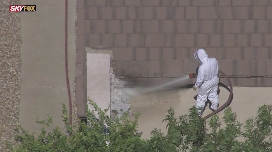 Woman stung 50 times by swarm of bees in Surprise