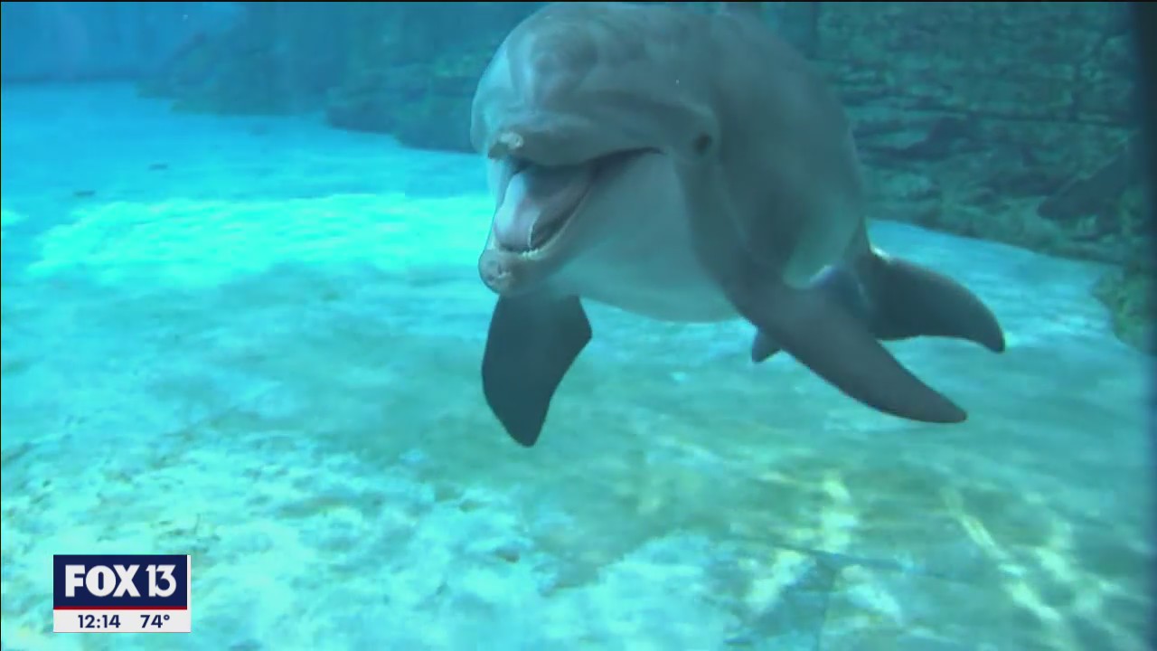 Festivities held at CMA for Christmas, Nicholas' rescue anniversary