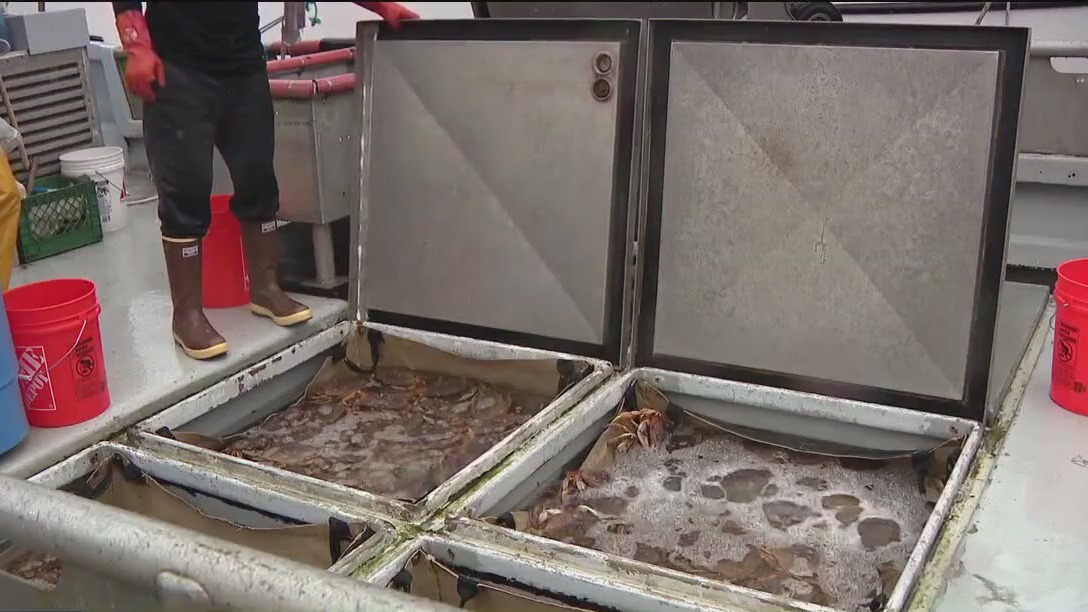 N. California Dungeness Crab Season Reopens January 5th