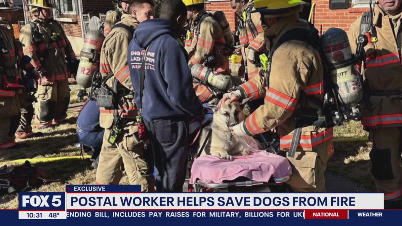 Postal worker helps save dogs from fire