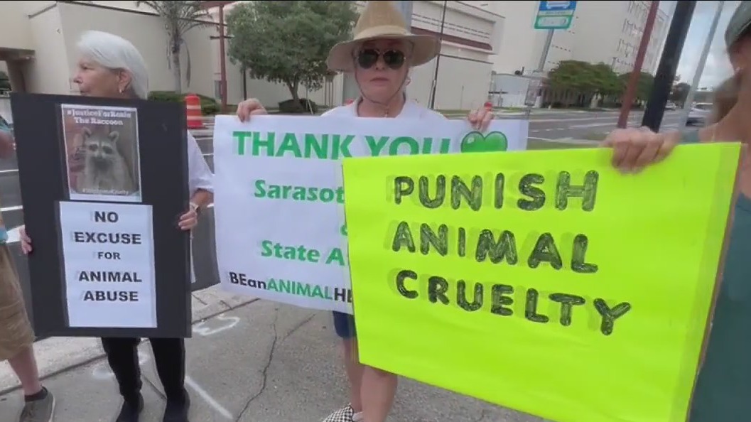 Animal activists host rally for fatally abused raccoon