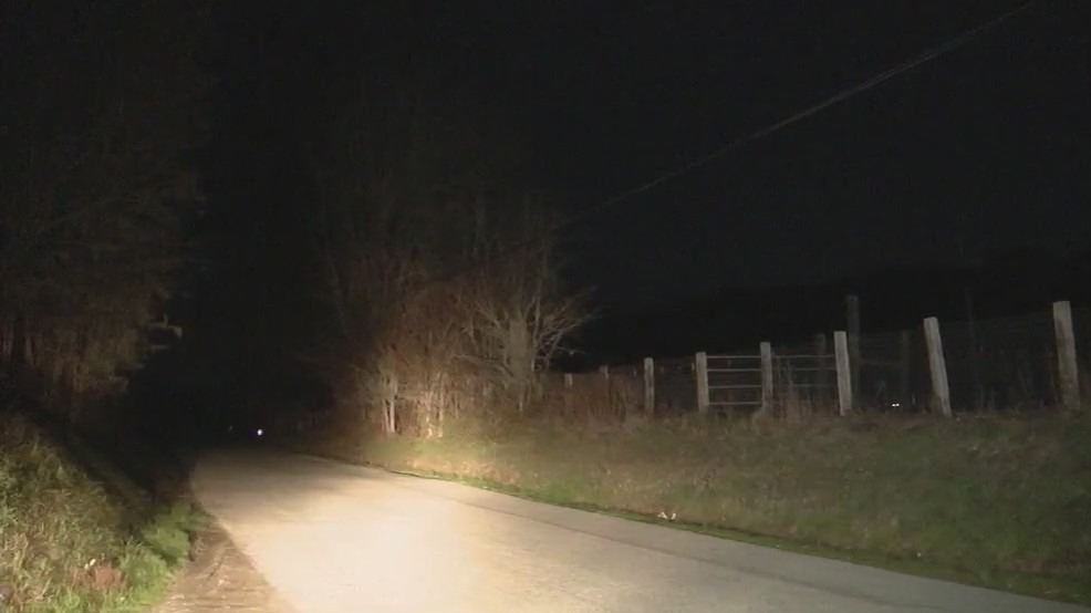 Boy suffers puncture wounds, expected to recover after mountain lion attack in San Mateo County