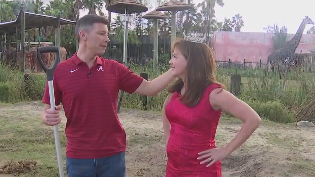 Linda scoops elephant poop, loses bet