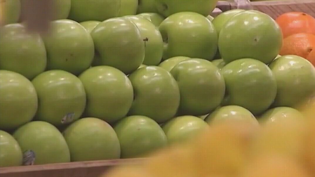 SNAP food assistance delay
