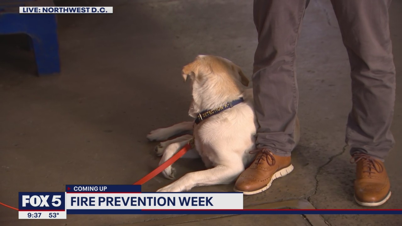 Fire Prevention Week: Meet Blondie