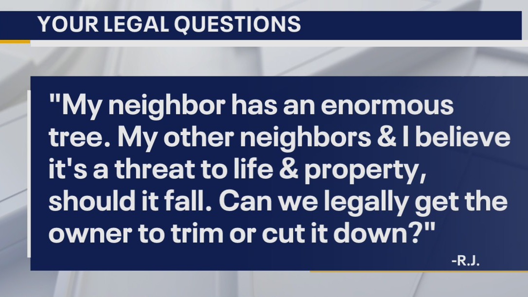 Your Legal Questions: Deed dispute; pets in grocery stores; and neighbor's tree