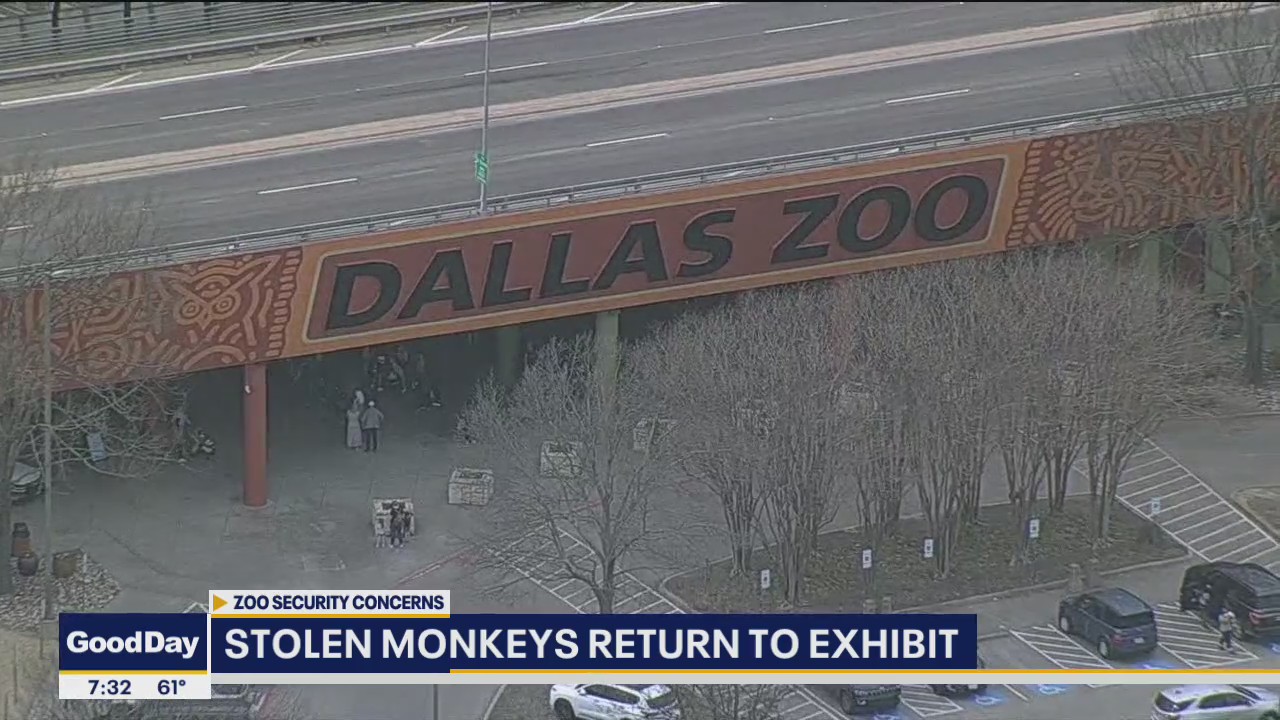 Dallas Zoo to give update on enhanced security