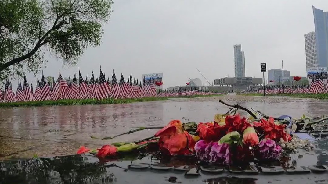 Field of Flags in Milwaukee
