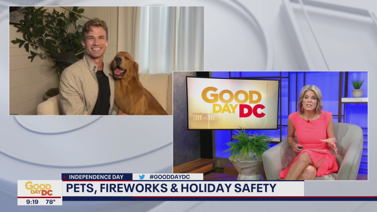 4th of July pet safety