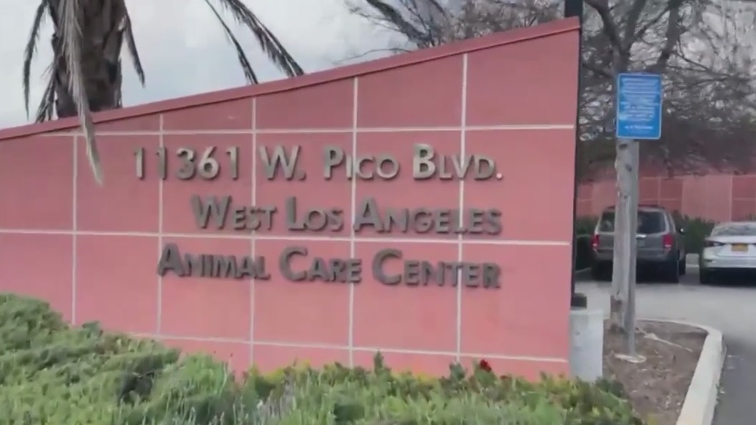 Protesters demand new GM of LA Animal Services