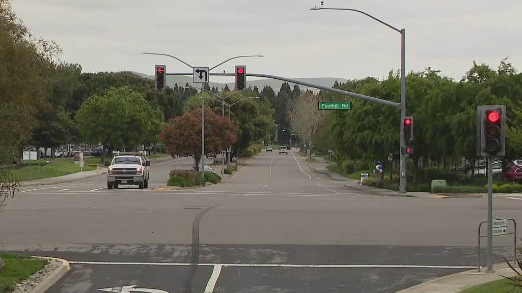 Multiple deaths in Pleasanton car crash