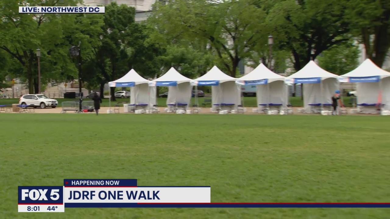JDRF One Walk preview