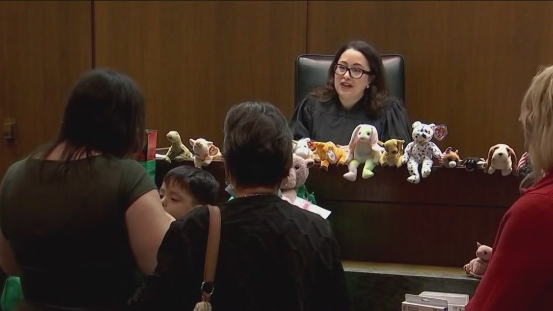 11 kids adopted at Chicagos Daley Center Courthouse on National Adoption Day