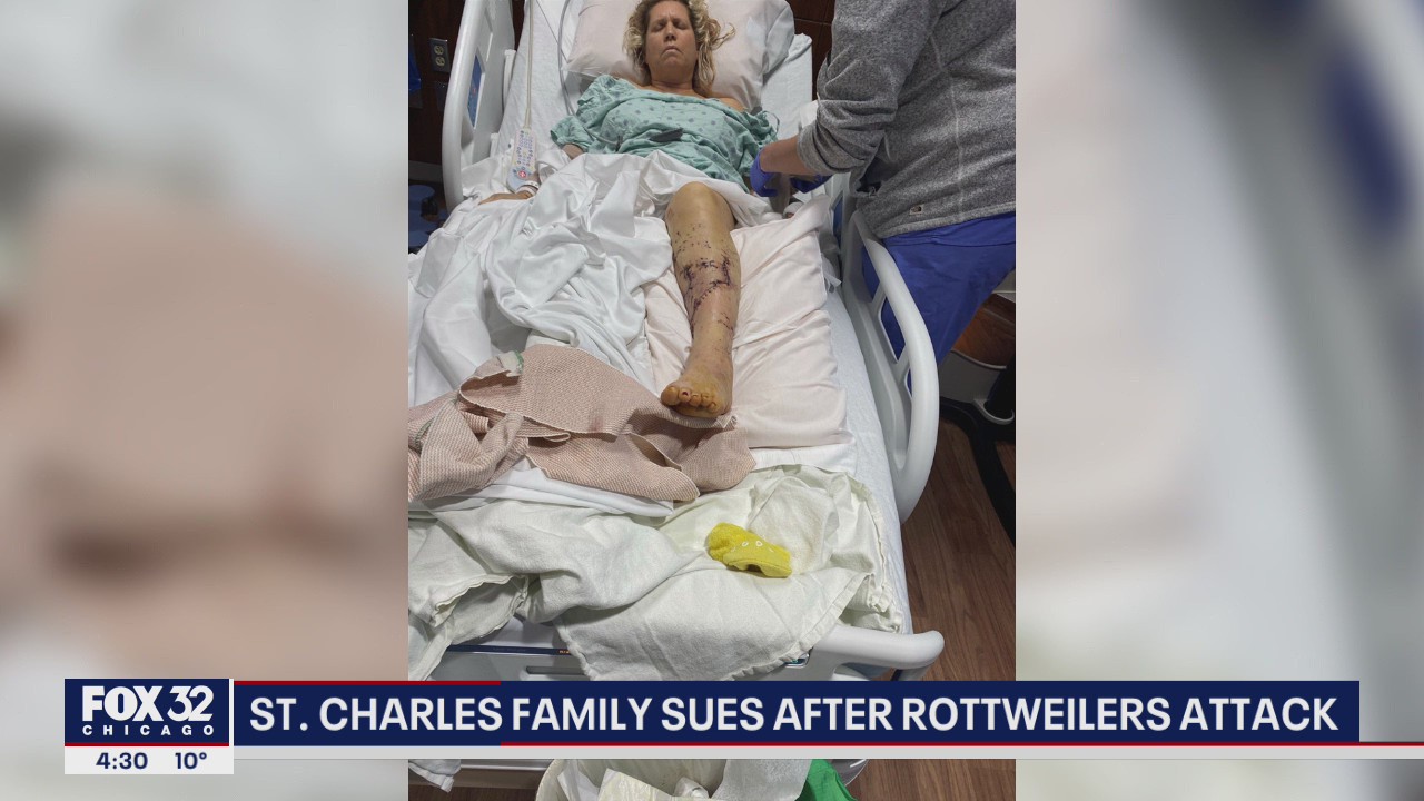 St. Charles family sues after dog attack