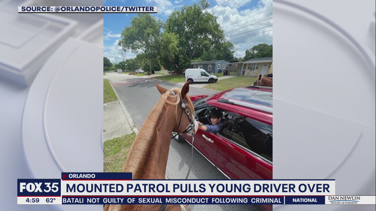 Mounted patrol pulls over young Orlando driver, lets him pet horse instead of getting ticket
