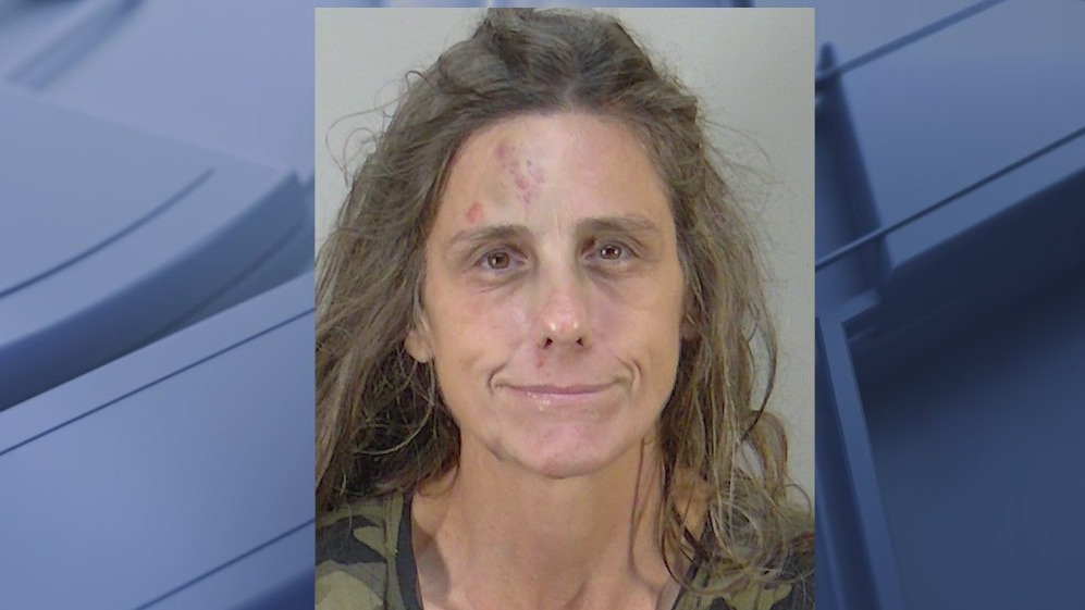 Florida woman armed with pitchfork, whip tries to sell teddy bears outside Publix