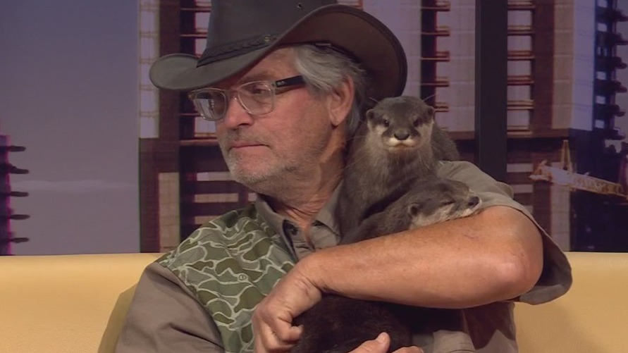 Meet the otters from the Capital of Texas Zoo