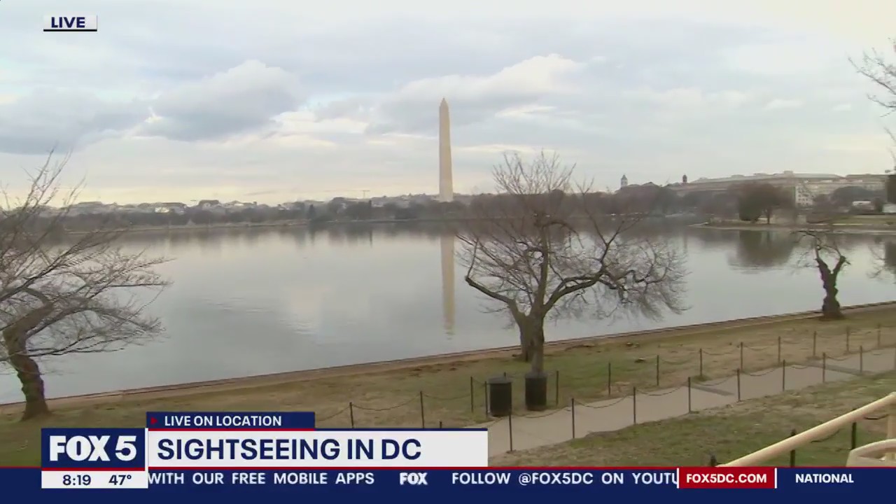 Taking in the nation’s capital on the Big Bus Tour DC