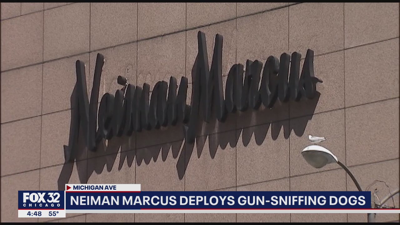 Neiman Marcus on Michigan Avenue deploys gun-sniffing dogs
