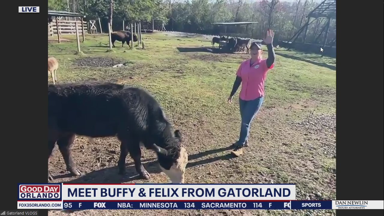 Wild Wednesday: Buffy and Felix
