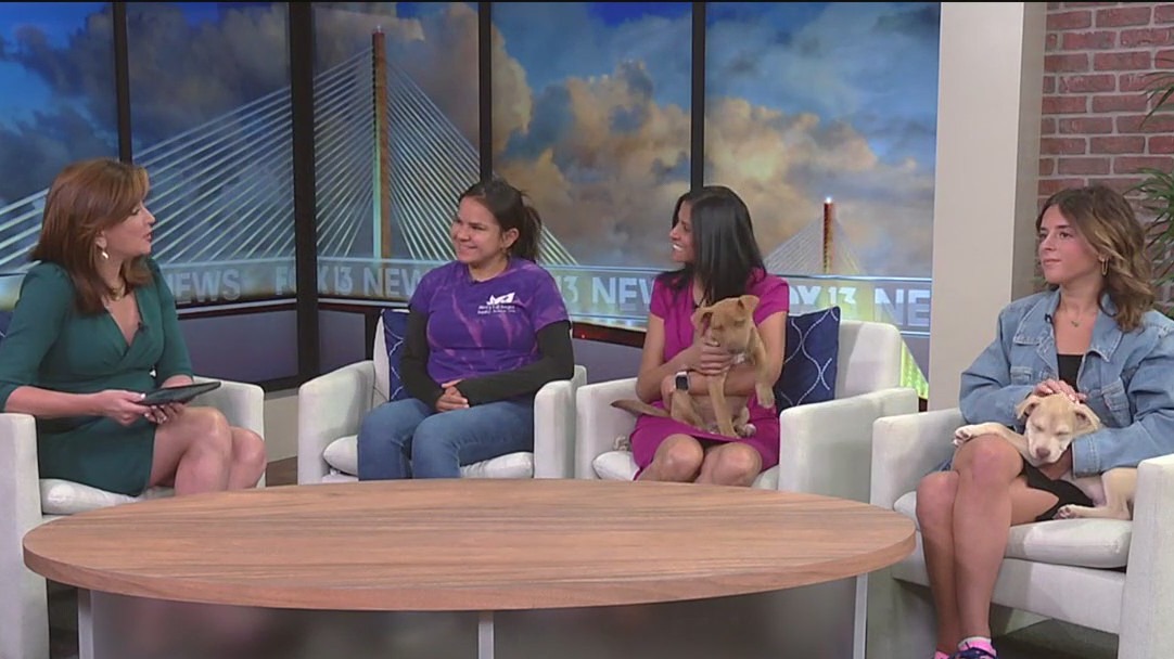 Fundraiser being held for organization that rescues animals