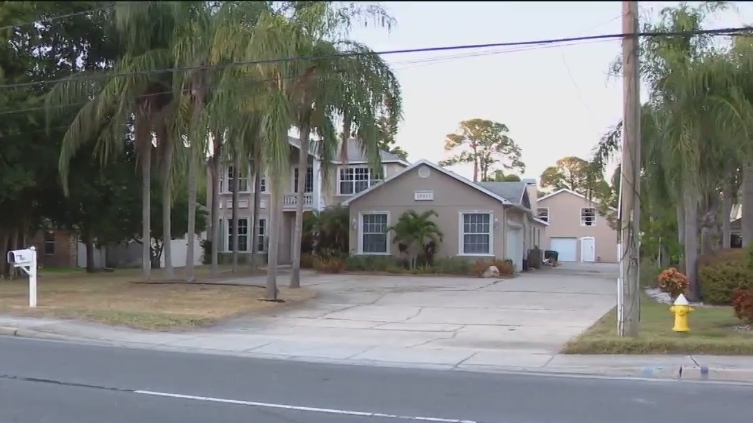 Two dogs, one cat found dead inside home