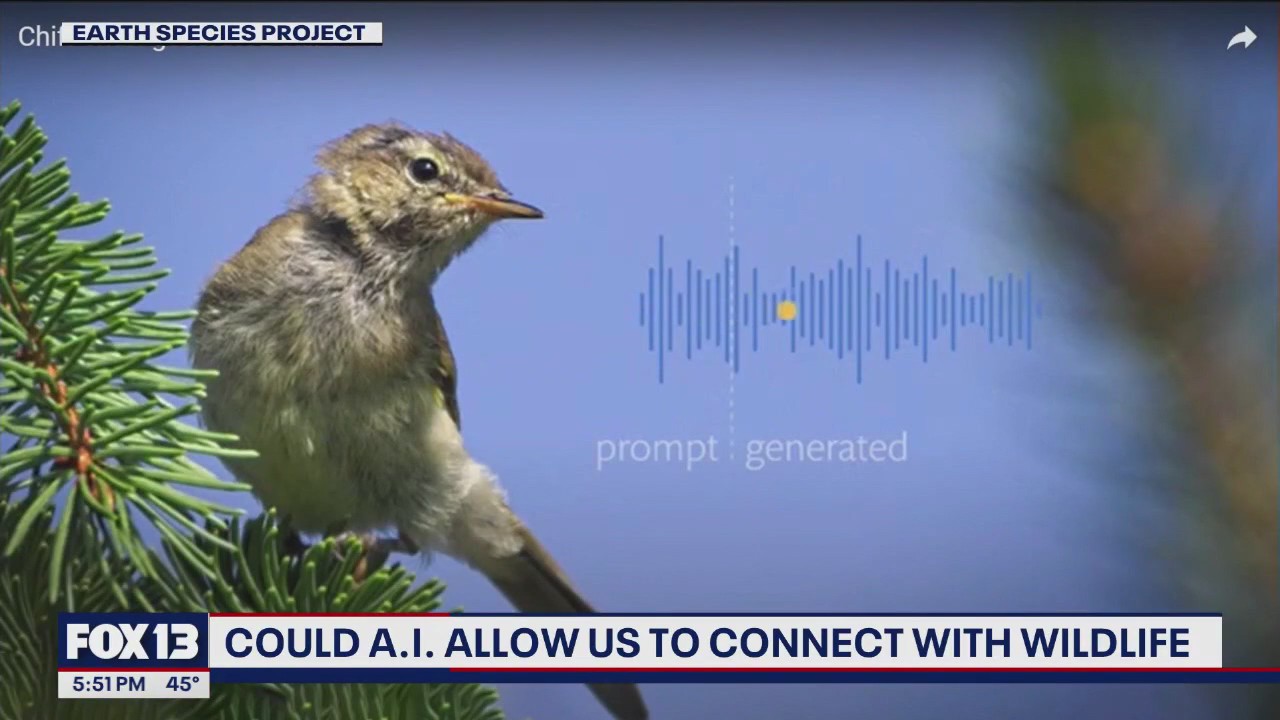 Could AI allow us to talk with animals?
