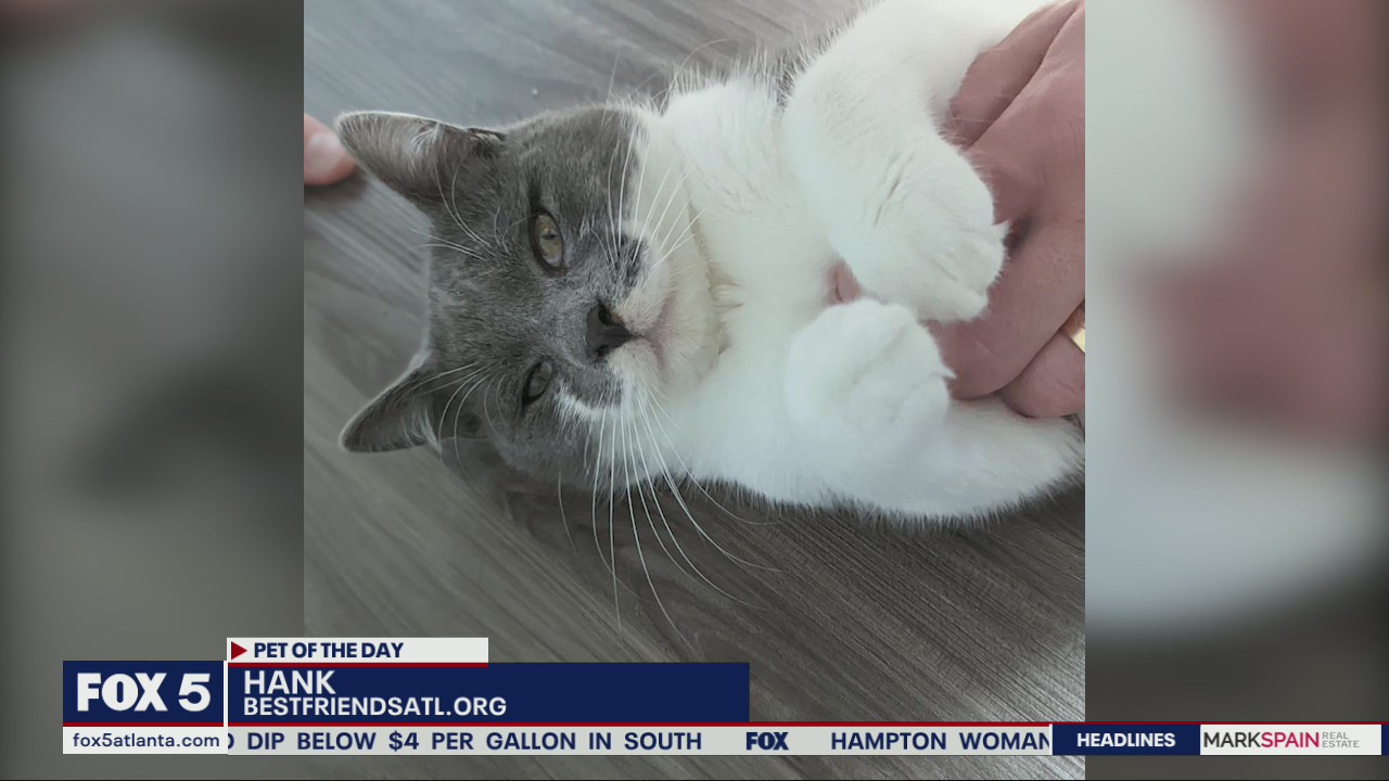Pet of the Day from Best Friends Animal Society