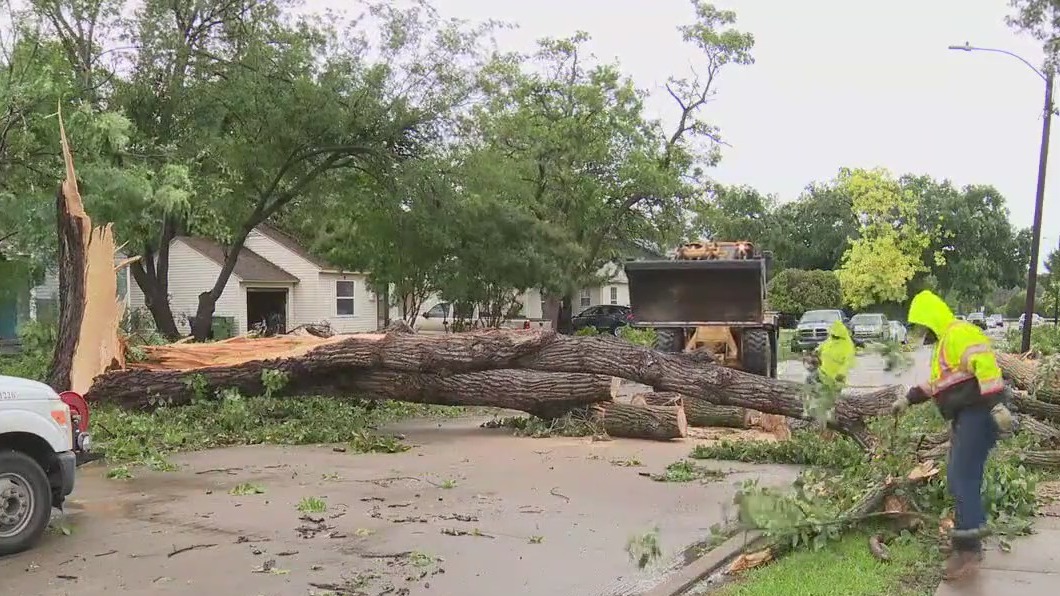 Garland storm damage: Homes damaged, trees knocked down