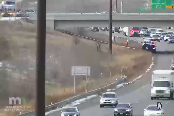 Dog rescued from Minnesota freeway