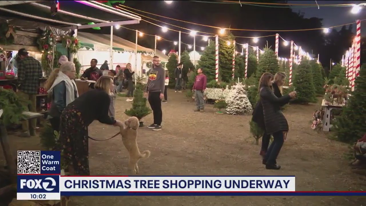 Christmas tree shopping a tradition at a SF "Winter Wonderland"