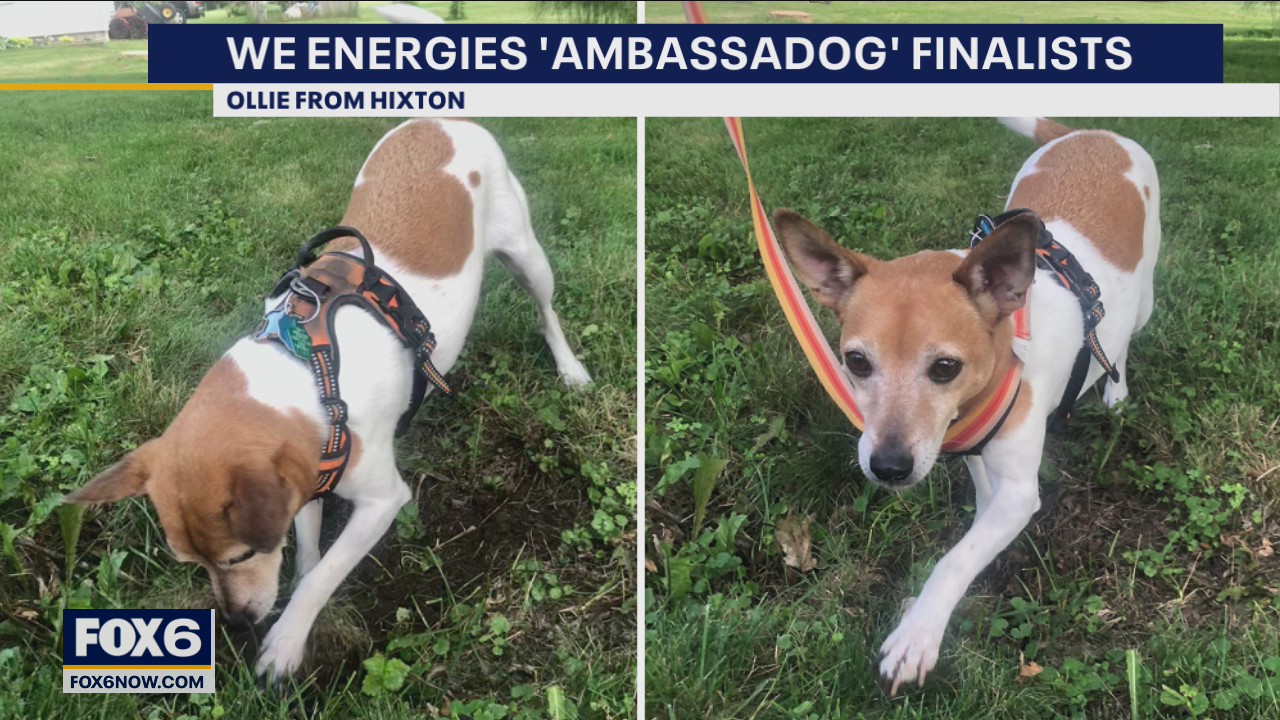 Vote underway: We Energies’ safe digging campaign