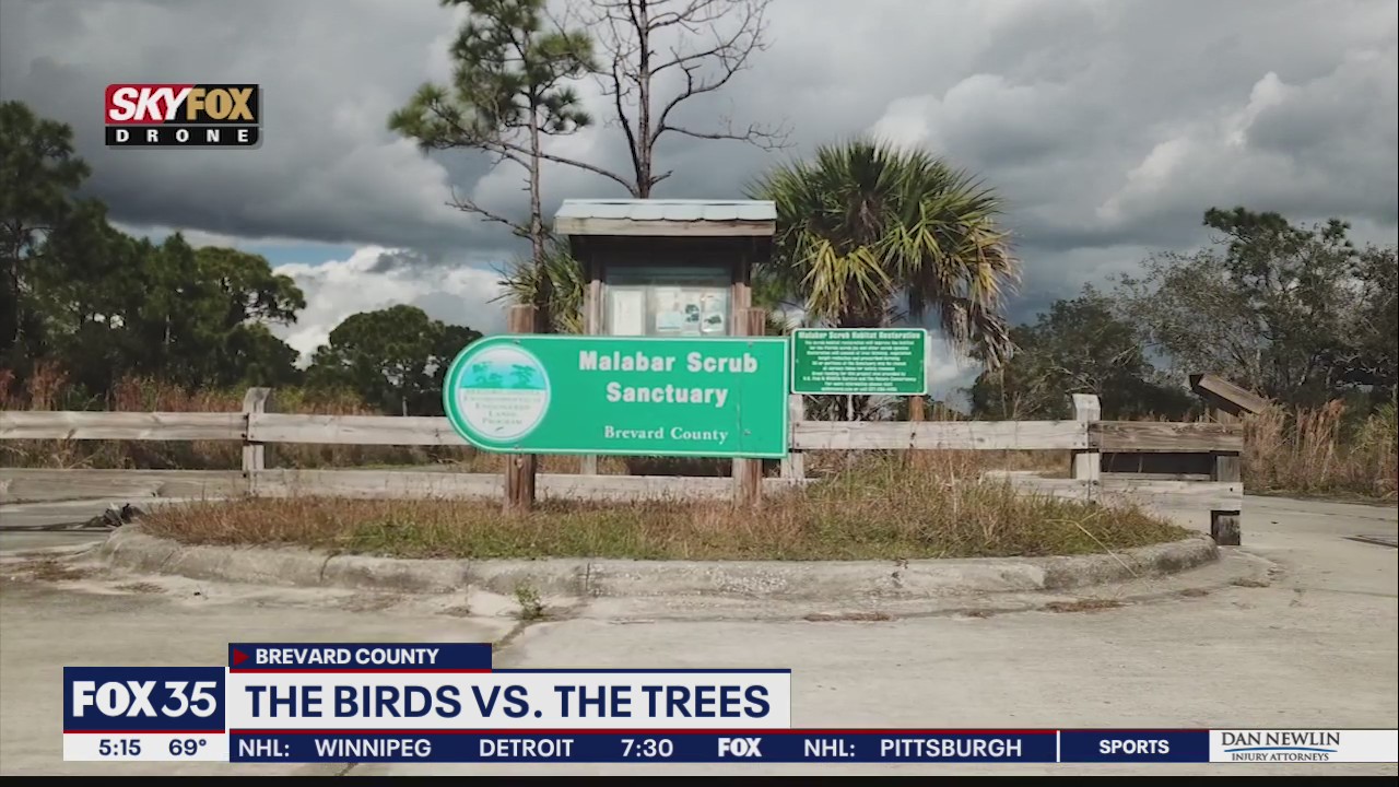 Brevard County close to fencing off Malabar Sanctuary