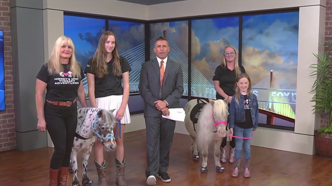 Mini therapy horses join Good Day ahead of gala