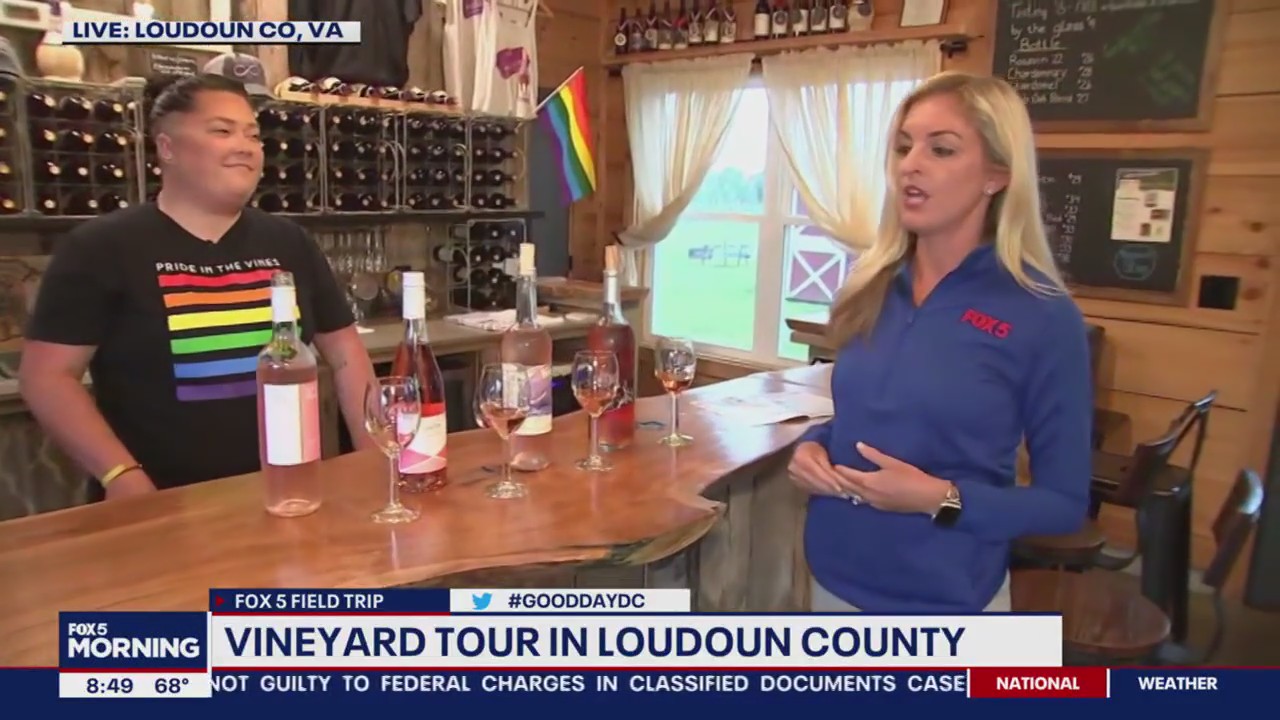 Fun at Loudoun County vineyards!