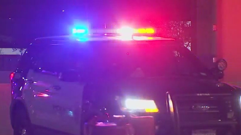 Auto-pedestrian collisions reoccurring issue in Austin