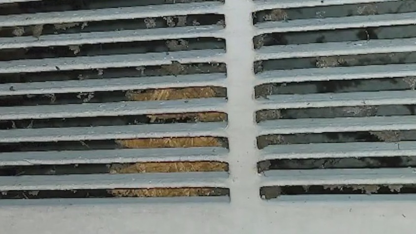 Tenants fed up with bad living conditions