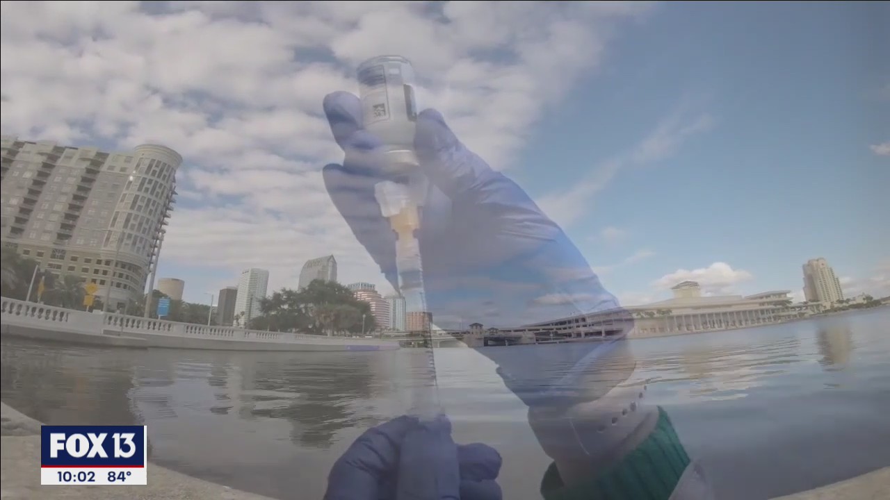 Can we reach herd immunity?