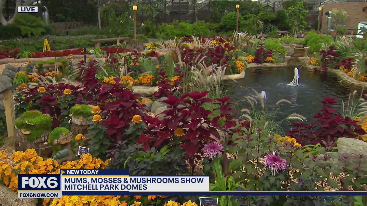 Fall show promotion & COVID guidelines