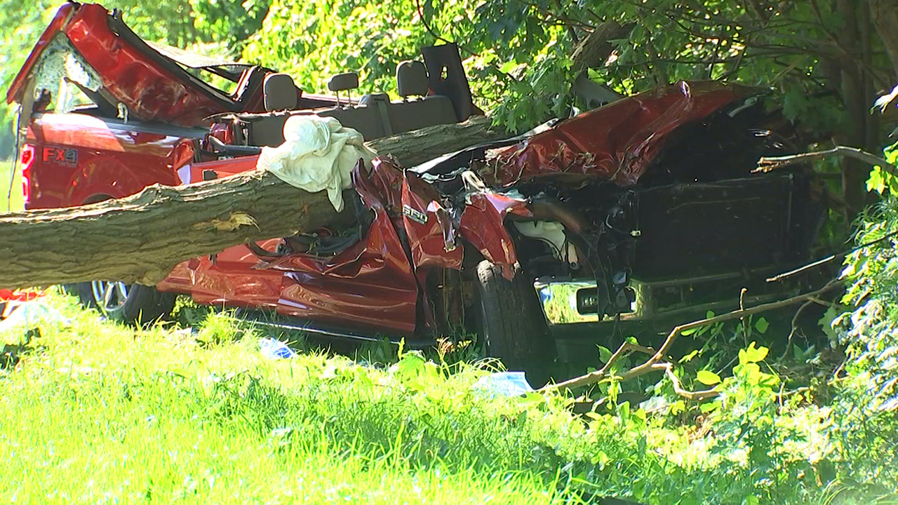 Falling tree hits truck on NY highway