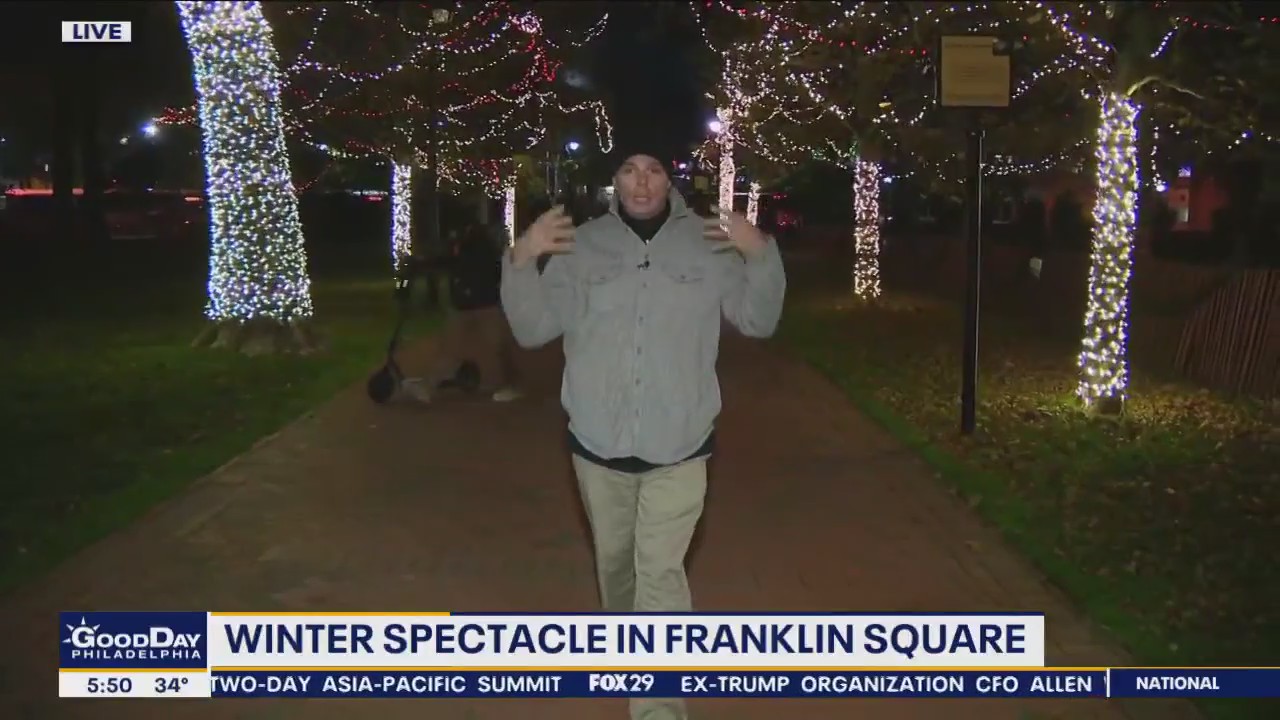 Enjoy Franklin Square's Winter Spectacle