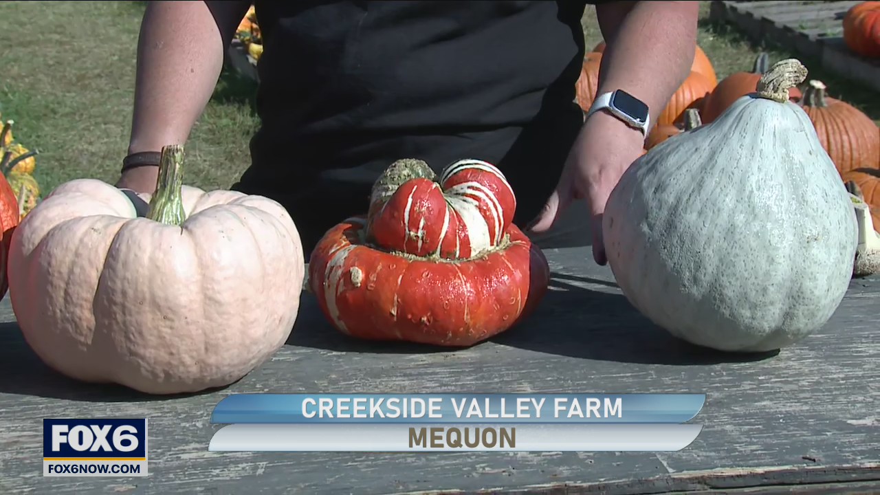 The Fall weather is perfect for outdoor family fun and Creekside Valley Farm
