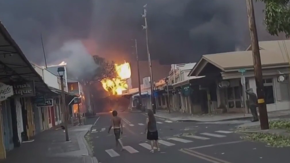 36 people killed in Maui wildfires