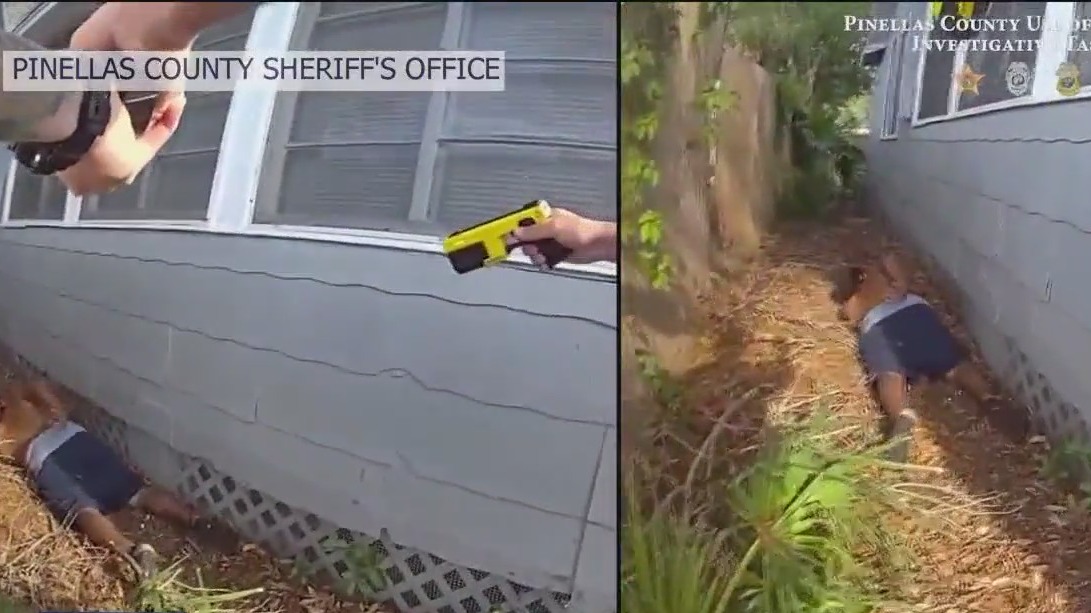Convicted felon accused of shooting at police