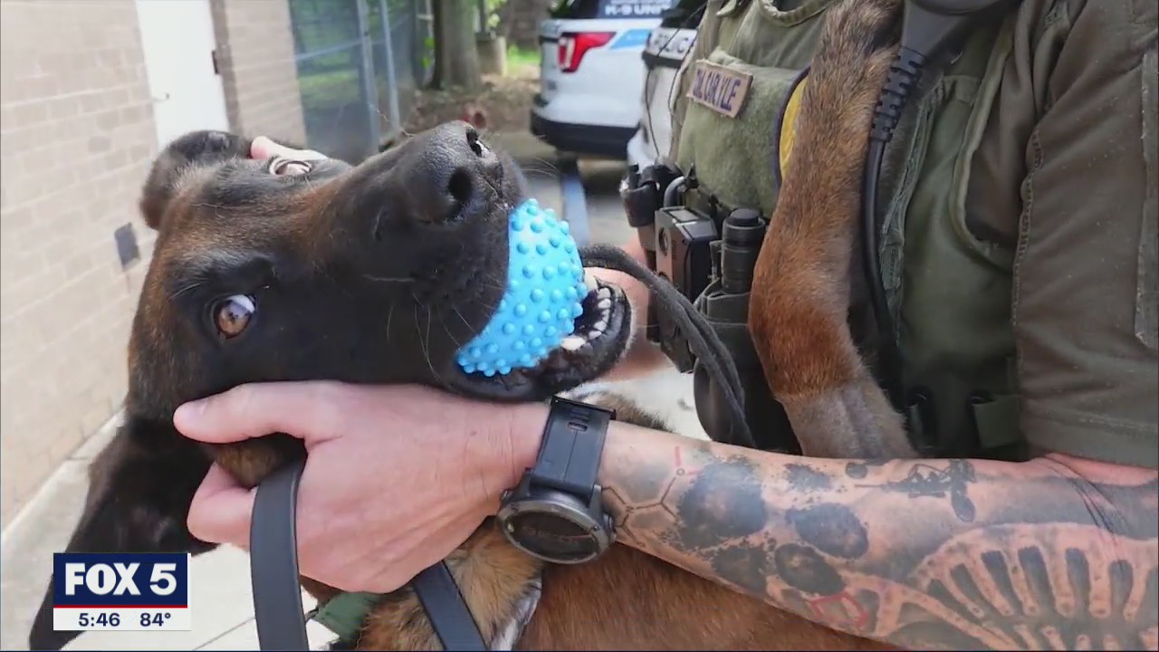 Gwinnett K-9 officer continues to recover from gunshot wounds