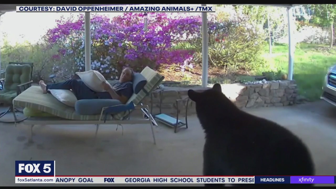 Man comes face to face with bear on porch