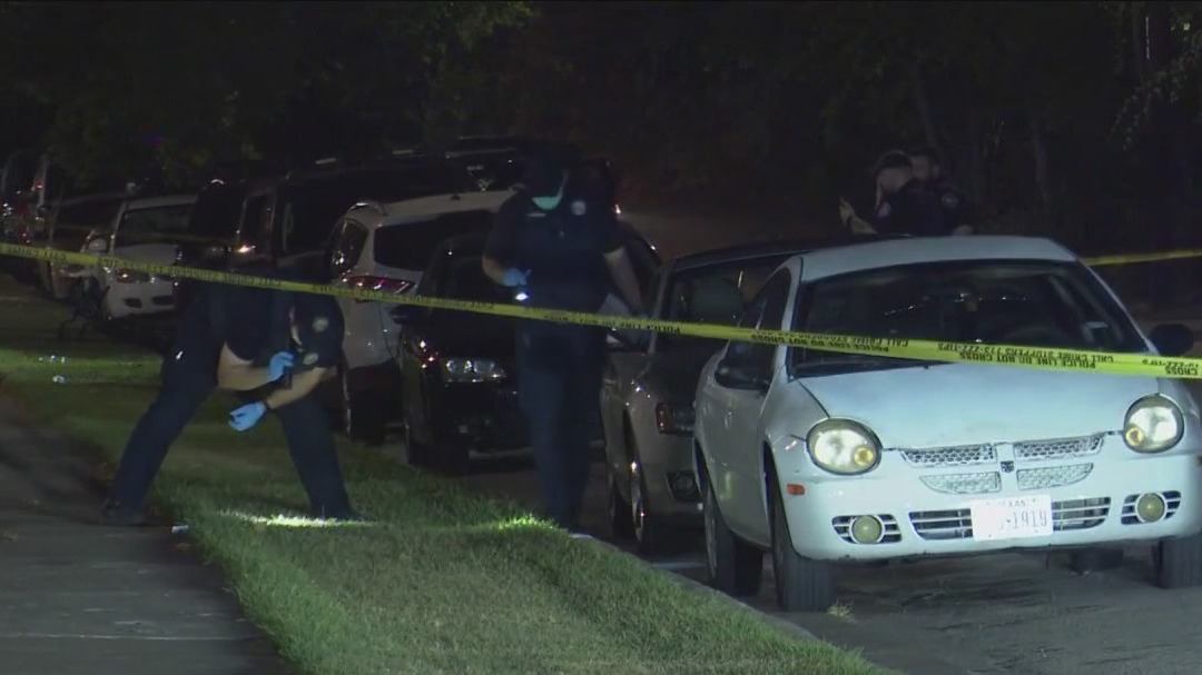 Argument ends in deadly shooting in Houston